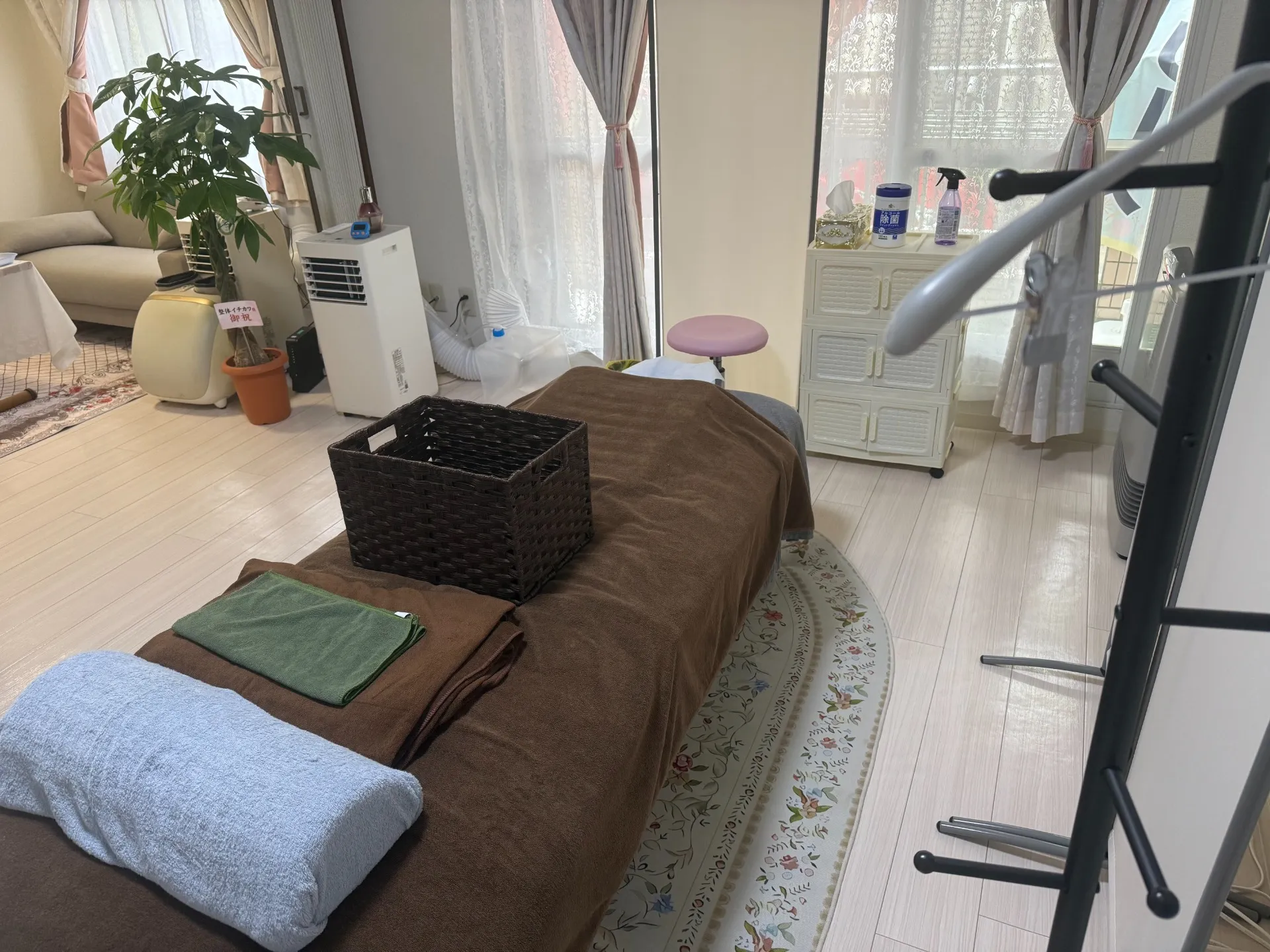 開店祝いの観葉植物